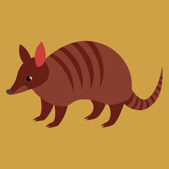 vector illustration of a armadillo