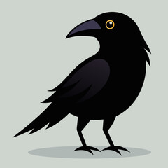 vector illustration of a crow