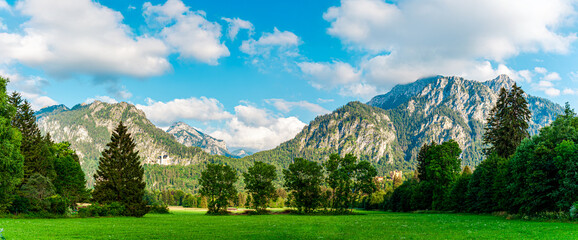 neuschwanstein castle, hohenschwangau, schwansee, allgau alps, bavaria, beauty, cloud - sky, europe, european alps, famous place, field, forest, german culture, germany, grass, green, hill, hohenschwa