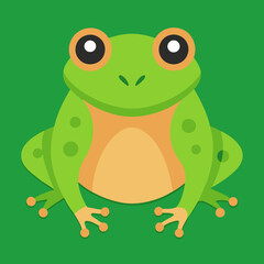frog vector illustration