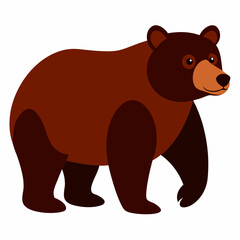 grizzly bear vector illustration