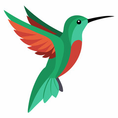 vector illustration of a hummingbird 