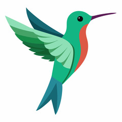 hummingbird vector illustration