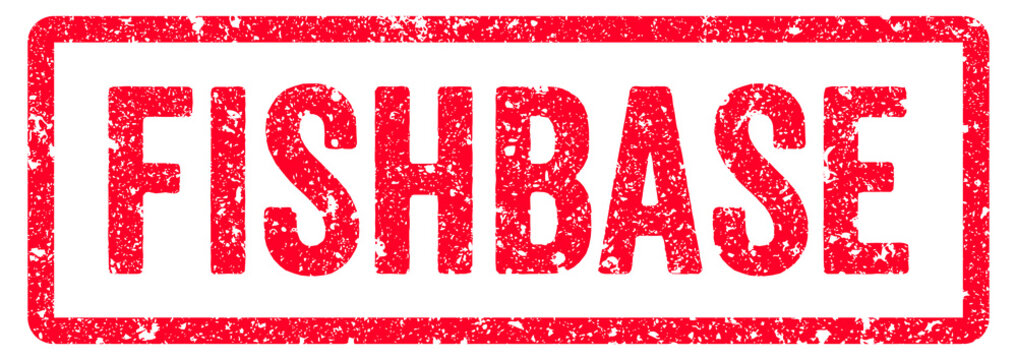 FishBase Stamp Transparent Seal, Red Grunge FishBase Word Rubber Stamp Seal