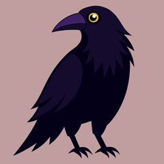raven vector illustration