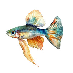 A watercolor illustration of a guppy fish, isolated on a white background. Guppy fish vector.
