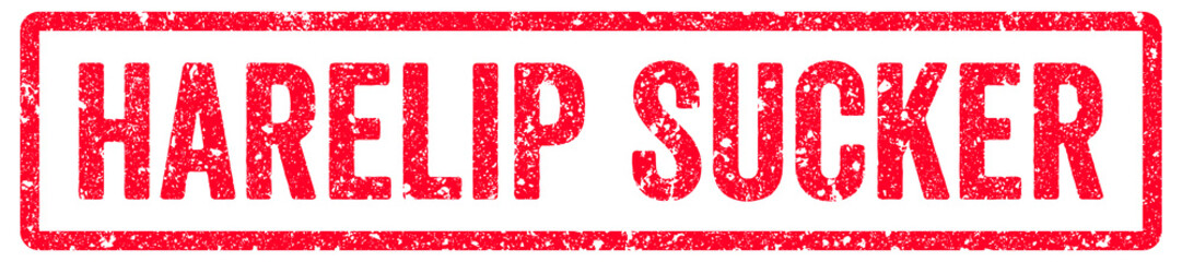 Fototapeta premium Harelip Sucker Stamp Transparent Seal, Red Grunge Harelip Sucker Word Rubber Stamp Seal