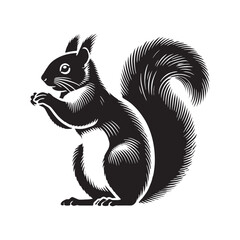 Creative squirrel silhouette for unique media uses - Squirrel illustration - minimallest squirrel black vector
