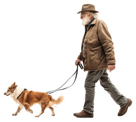 Old man walking a dog mammal animal adult.