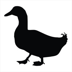 illustration of a duck