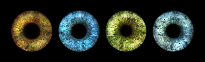 Eye Set - human eye in brown, green, gray, blue
