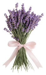 Naklejka premium PNG Lavender bunches ribbon arrangement botanical.