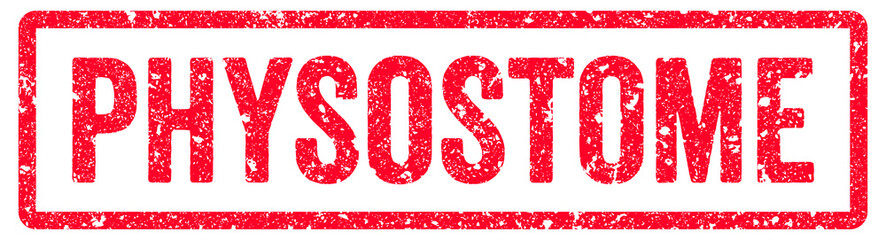 Fototapeta premium Physostome Stamp Transparent Seal, Red Grunge Physostome Word Rubber Stamp Seal