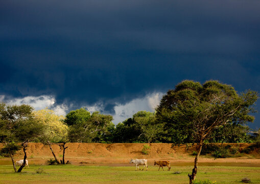 Chettinad storm, India