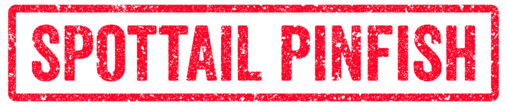 Spottail Pinfish Stamp Transparent Seal, Red Grunge Spottail Pinfish Word Rubber Stamp Seal