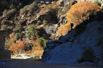 Backcountry Silhouette