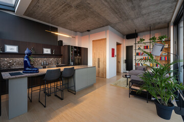 Modern minimalist kitchen and living space design is functional and aesthetically pleasing
