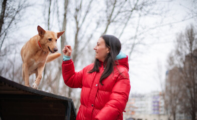 A woman in a red jacket is training a dog outdoors. The dog, a light brown breed, is jumping from a...