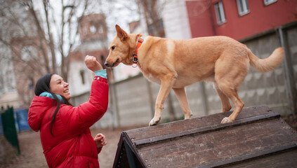 The image shows a woman in a red jacket training her dog in an outdoor setting. The dog is standing...