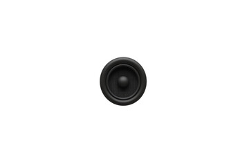 A circular, black speaker cone designed for sound reproduction.