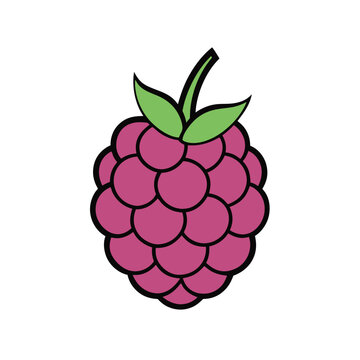 recommend clip art: Monochromatic raspberry silhouette - black and white berry illustration, simple fruit design, minimalist raspberry art