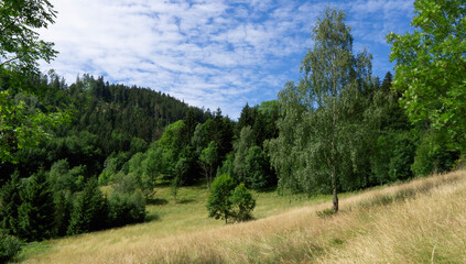 Landscape of the Lower Silesian foothills of the Sudetes.