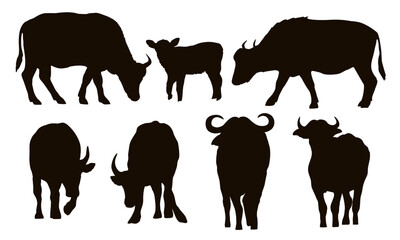 Set of silhouettes of African buffalo. Buffaloes and their calves stand and walk. Realistic vector animals of Africa