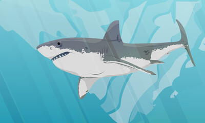 Great white shark in the water. Realistic vector landscape