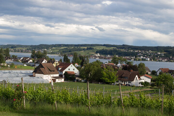 Paysage du lac de constance 