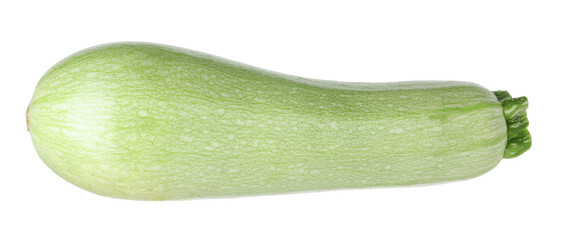 One fresh ripe zucchini isolated on white