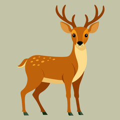 deer cartoon isolated