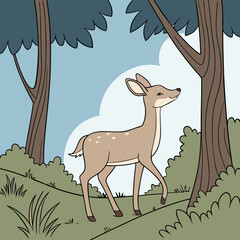 deer in the forest