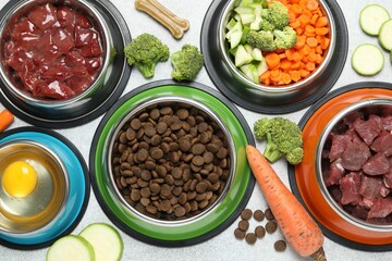 Dry pet food and natural products on light table, top view