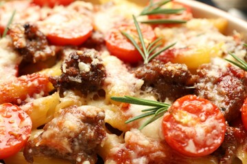 Delicious pasta casserole with cheese, tomatoes, minced meat and rosemary, closeup