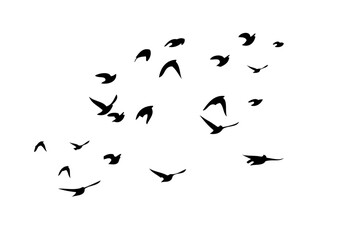 Flying birds silhouette flock. hand drawing. Not AI. Vector illustration.