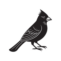 cardinal bird silhouette, black and white silhouette, vector and illustration