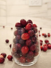 Freshly harvested cranberries stacked high in a glass vessel on a subtle kitchen countertop during autumn's embrace