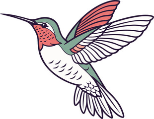 hummingbird and flower vector 