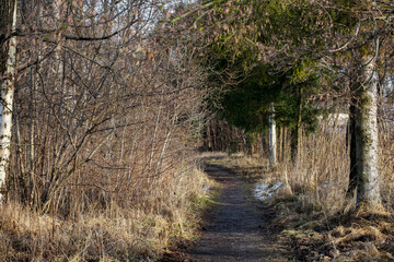 trail for walks in town outskirts