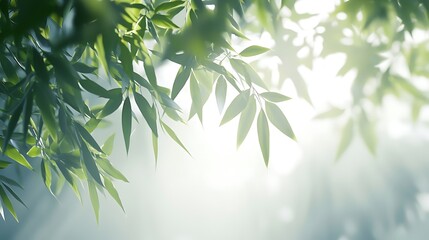Naklejka premium Sunlit Green Leaves: A Serene Nature Photography