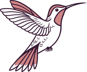 hummingbird and flower vector 