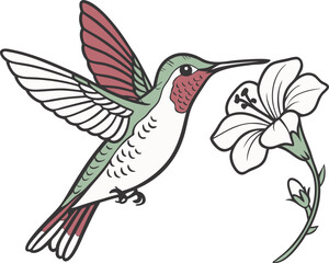 illustration of a bird