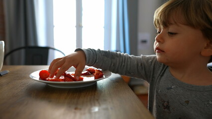 Little boy eating strawberries. Child grabbing strawberry fruit
