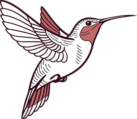 illustration of a hummingbird