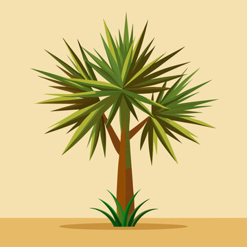 yucca vector illustration