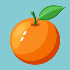 vector illustration of satsuma fruit