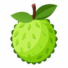 soursop vector