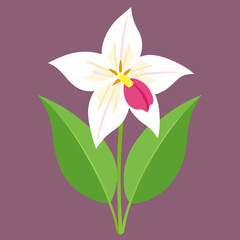 Naklejka premium illustration of a trillium flower