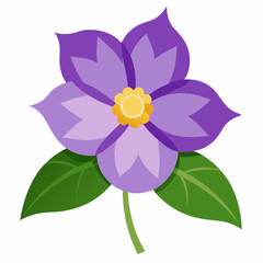 illustration of violet