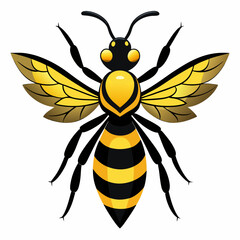 wasp vector